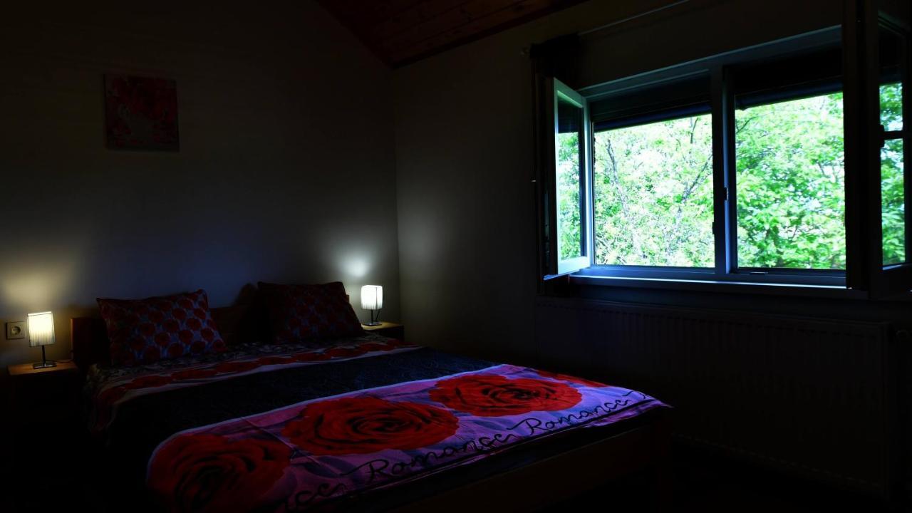 Apartments Laura غاكوفيتسا المظهر الخارجي الصورة