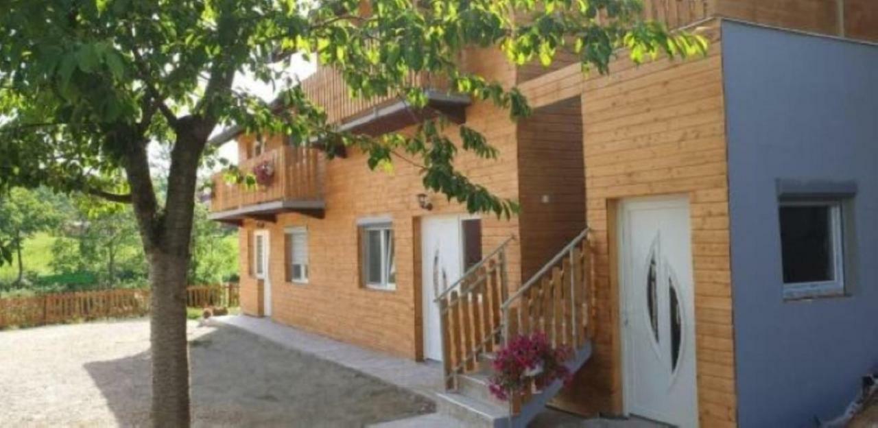Apartments Laura غاكوفيتسا المظهر الخارجي الصورة